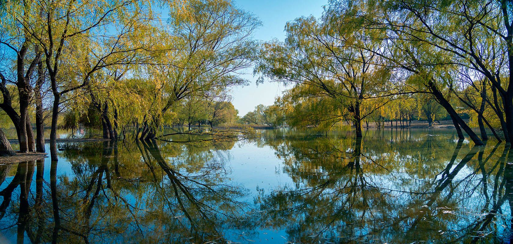 昌平濱河森林公園